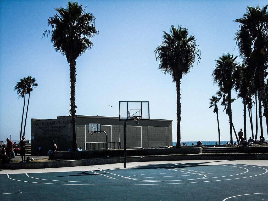Outdoor sports court lined with palm trees